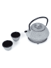 Echtwerk 4tlg. Set: Teekanne in Grau - 800 ml
