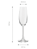 Echtwerk 6-delige set: champagneglazen - 210 ml
