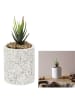 THE HOME DECO FACTORY Kunstplant in terrazzo-pot wit/groen - (H)11 cm