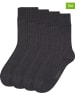 camano 4er-Set: Socken in Anthrazit