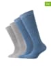camano 4-delige set: sokken beige/blauw