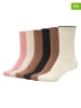 camano 5-delige set: sokken lichtbruin/lichtroze/zwart