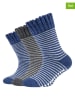camano 3er-Set: Socken in Grau/ Blau