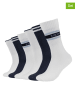s.Oliver 6er-Set: Socken in Weiß/ Dunkelblau