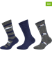 s.Oliver 6er-Set: Socken in Dunkelblau/ Khaki