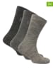 Norfolk 6er-Set: Socken in Beige/ Anthrazit
