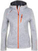 Peak Mountain Fleecejacke "Alaine" in Grau