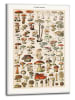 Orangewallz Druk artystyczny "Champignons" w ramce - 50 x 70 cm