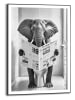 Orangewallz Gerahmter Kunstdruck "Elephant Toilet"