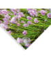 Orangewallz Outdoor-Kunstdruck "Sunset Lavender Field"