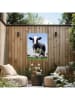 Orangewallz Outdoor-Kunstdruck "Summer Meadow Cow"