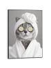 Orangewallz Ingelijste kunstdruk "Spa Cat"
