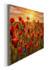 Orangewallz Druk artystyczny "Summer Poppies" w ramce