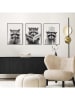 Orangewallz 3er-Set: Gerahmte Kunstdrucke "Racoon"