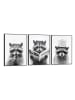Orangewallz Druki artystyczne (3 szt.) "Racoon" w ramce
