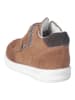 PEPINO Sneakers "Kian-S" lichtbruin