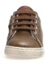 Naturino Leren sneakers "Hasselt" bruin