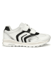 Geox Sneakers "Pavel" in Weiß/ Schwarz