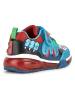 Geox Sneakers "Bayonyc" turquoise/rood