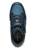 Geox Sneakers "Arzach" in Blau in Blau