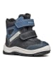 Geox Boots "Flanfil" donkerblauw