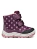 Geox Boots "Flanfil" in Violett/ Rosa