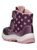 Geox Boots "Flanfil" violet/lichtroze