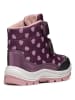 Geox Boots "Flanfil" violet/lichtroze