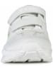 Geox Sneakers "Pavel" in Weiß