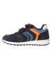 Geox Sneakers "Alben" in Dunkelblau/ Orange