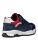 Geox Sneakers "Pavel" in Dunkelblau