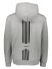 SPYDER Hoodie "Stryder" in Grau