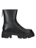 Steve Madden Leder-Stiefelette in Schwarz