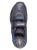 Geox Sneakers "Pavel" donkerblauw