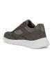 Geox Sneakers "Portello" in Khaki