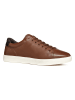Geox Leder-Sneakers "Avola" in Braun