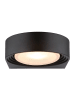Globo lighting LED-Außenleuchte "Oko" in Schwarz - (B)16 x (H)16,6 cm