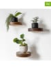Scandinavia Concept 3er-Set: Wandregale in Hellbraun - Ø 12 cm
