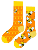 Lucky Socks 5er-Set: Socken in Bunt