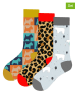 Lucky Socks 3-delige set: sokken meerkleurig