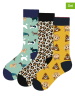 Lucky Socks 3-delige set: sokken meerkleurig