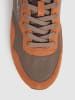 Pepe Jeans FOOTWEAR Sneakers "London Brick" lichtbruin/donkerblauw