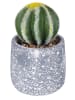 Villa d´Este Kunstpflanze "Cactus" in Grün/ Grau - (H)15 cm