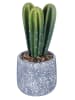 Villa d´Este Sztuczny kwiat "Cactus" w kolorze zielono-szarym - 29,5 cm
