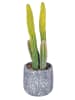 Villa d´Este Sztuczny kwiat "Cactus" w kolorze zielono-szarym - 40,5 cm