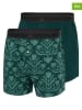adidas 2er-Set: Boxershorts in Grün