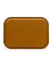 Hermia Tablett in Hellbraun/ Gold - (L)28,5 x (B)40 cm