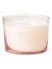 AVA & MAY Duftkerze "CLUB NOÈ 0.3" in Rosa - 150 g