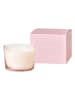 AVA & MAY Duftkerze "CLUB NOÈ 0.3" in Rosa - 150 g