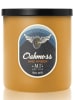 Colonial Candle Świeca zapachowa "Oakmoss & Amber" - 425 g
